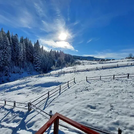 Apartment у горах 