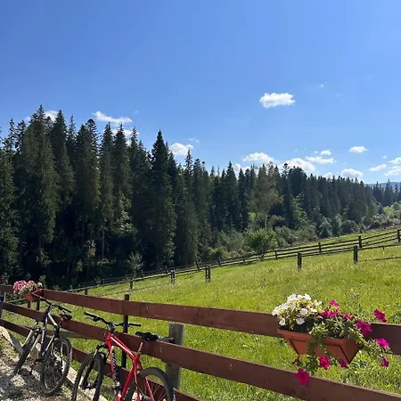 Апартаменты у горах місце сили *